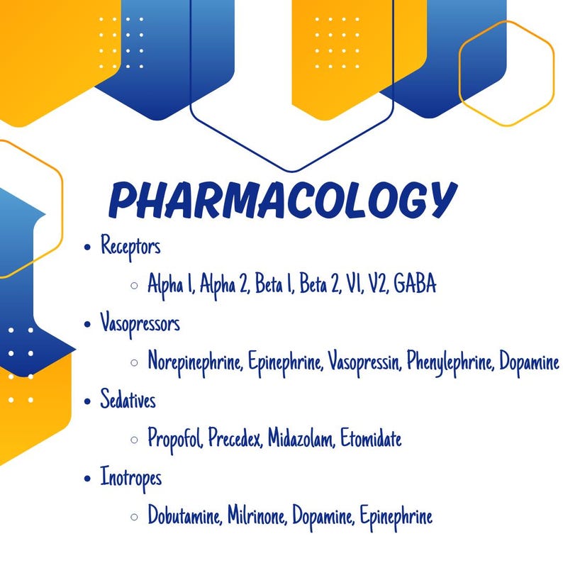 CRNA School Interview Mastery - Full Video Course | PDF Slides Included image 3
