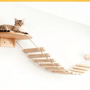 May include: A tabby cat rests on a wooden cat shelf with a rope bridge leading to a wall-mounted perch. The cat furniture is made of light-colored wood and rope, designed for indoor cats. The cat is brown and tan.