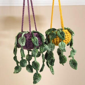 May include: Two hanging crochet plant holders. One is purple with green leaves, the other is yellow with green leaves. The leaves cascade down from the holders. The holders are suspended by matching crochet cords.