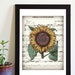 lyrics grateful dead china cat sunflower lyrics grateful dead china cat sunflower