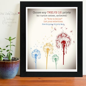 Choose a DOZEN Prints of Your Choice, USPS Priority Mail Included