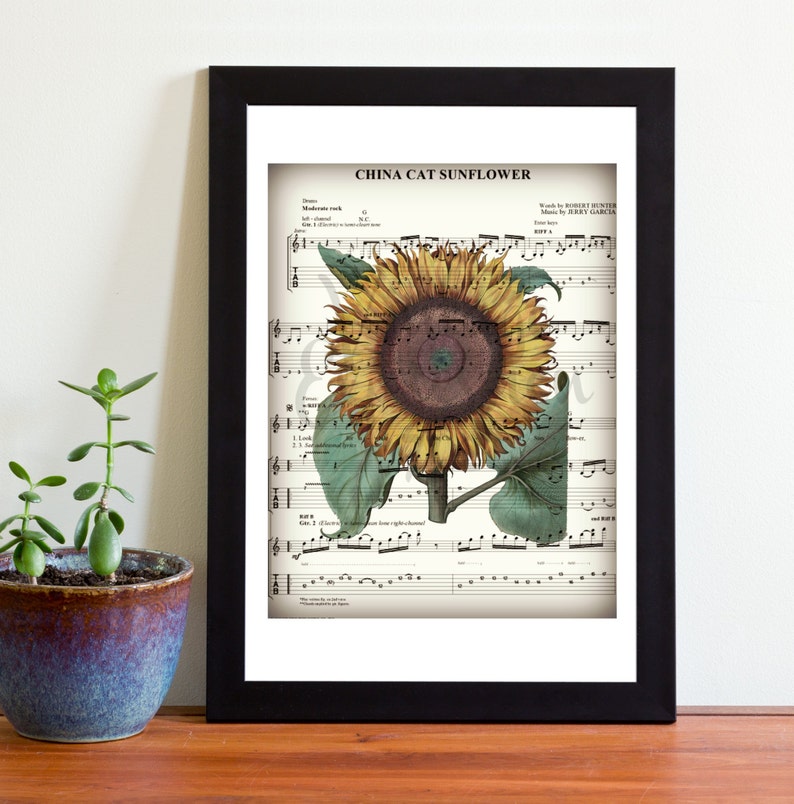 the grateful dead china cat sunflower the grateful dead china cat sunflower