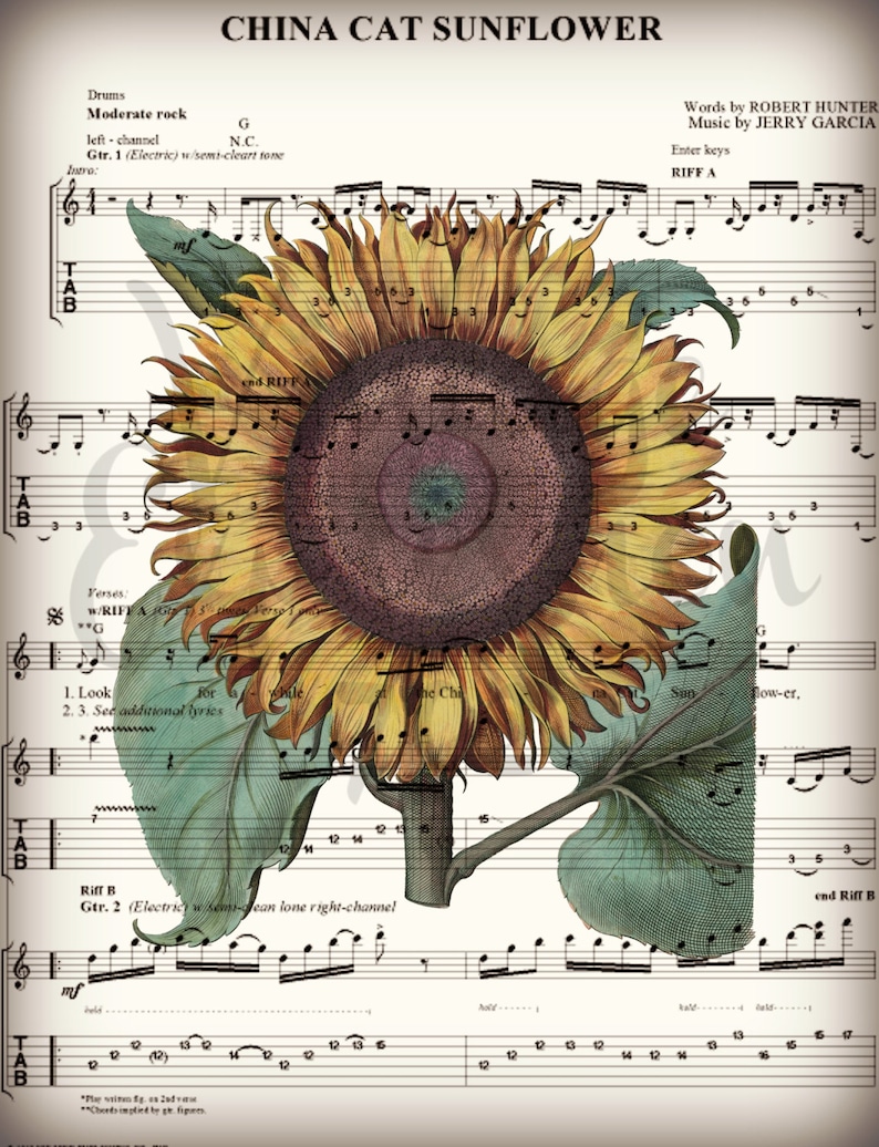 china cat sunflower grateful dead china cat sunflower grateful dead