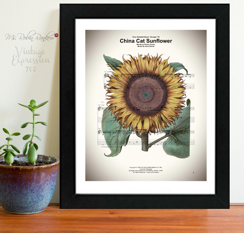 china cat sunflower chords and lyrics china cat sunflower chords and lyrics
