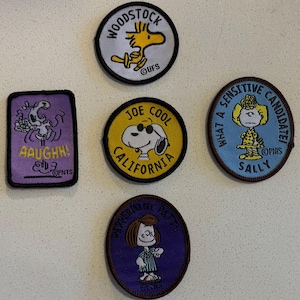 以下が含まれることがあります： ピーナッツのキャラクターが刺繍されたパッチのコレクション。サングラスをかけたスヌーピー、ウッドストック、サリー、ペパーミントパティ、そして「AAUGHH！」と言うキャラクターが特徴です。各パッチは異なる配色とテキストを持っています。