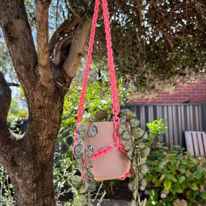 Colgador de plantas de cadena acrílica / colores sólidos / ¡variedad de colores y tamaños!