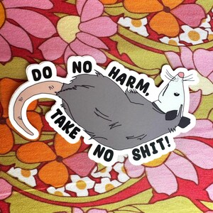 Tu keinem leid, mach keinen Scheiß mit | Opossum | Matt Aufkleber