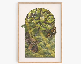 The Secret Rainforest Art Print