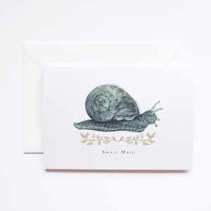 Carte postale avec escargot - carte d'anniversaire en retard - Désolé, il est tard
