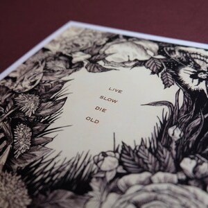 May include: Black and white illustration of flowers, leaves, and a butterfly surrounding the text "Live Slow Die Old".