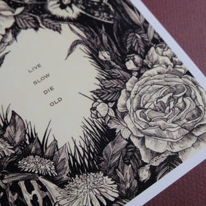 May include: Black and white illustration of flowers and foliage with the text "Live Slow Die Old" in the centre.