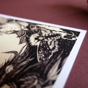 May include: Black and white illustration of a moth with the text "Live Slow Die" printed on a cream background.