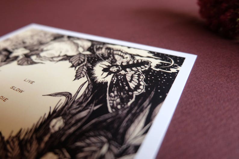 May include: Black and white illustration of a moth with the text "Live Slow Die" printed on a cream background.