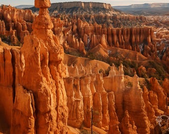 Bryce Canyon Hoodoo Landscape Print – Żywa południowo-zachodnia fotografia ścienna