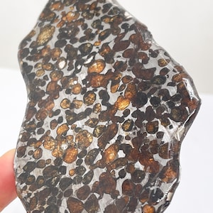 May include: A polished, irregularly shaped stone with a distinctive pattern. The surface displays a mix of metallic silver, dark brown, and golden-brown, forming a speckled design. The stone's edges are smooth, and it appears to be a natural specimen.