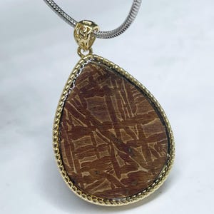 Puede incluir: Colgante en forma de lágrima con una piedra marrón estampada, engastada en un marco dorado con textura de cuerda. Cuelga de una cadena plateada con un cierre dorado.