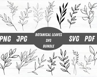 Botanical Leaves SVG Bundle, Hand Drawn Twigs Clipart (Digital Download)