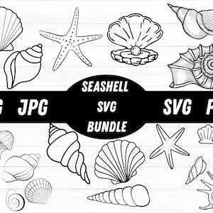 Seashell SVG, Seashell Cricut, Seashell Cut Files, Seashell Silhouette, Digital download, Sea shells Svg, Sea shell Cricut, Beach Svg, Png