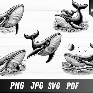 Whale SVG, Humpback Whale Svg, Whale Png, Whale Clipart, Whale Vector, Whale Silhouette, Ocean Svg, Sea Life Svg, Sea Animal Svg