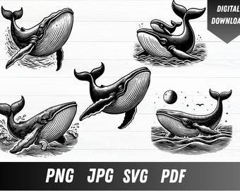 Humpback Whale Vector Art, Ocean Clipart (Digital Download)