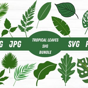 Tropical Leaves Svg Bundle, Tropical Leaf Svg, Palm Leaves Svg, Palm Branch Svg, Jungle Leaves Svg, Monstera Svg, Tropical Svg, Party Decor