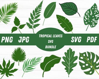 Tropische Blätter SVG Bundle: Palme, Monstera, Dschungel Designs (Digitaler Download)
