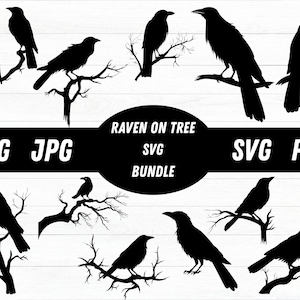 Raaf op boomtak SVG, kraai Svg, raaf Svg, kraai silhouetten, kraai Cricut, kraai clipart, raaf clipart, raaf silhouet, raaf png