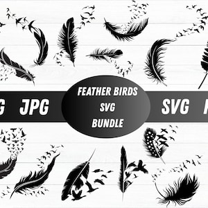 Feather birds svg, Feather svg bundle, Flying birds feather svg, Feather leaf silhouette, Memorial feather svg, Flying birds svg