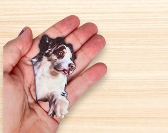 Custom Pet Photo Magnet | Funny Personalized Gift