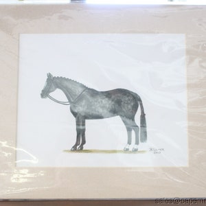 Horse Print Black Grey Spotted Show Horse Signed Matted Braided Tail Mane