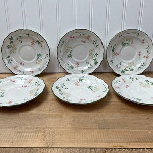 6 Royal Doulton Untertassen Majestic Collection Southdown Weiß Grün Floral