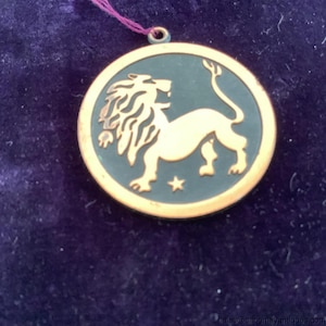May include: A round, gold-toned pendant with a lion design. The lion is in a light color, set against a dark background, with a star below. A purple string is attached to the pendant.