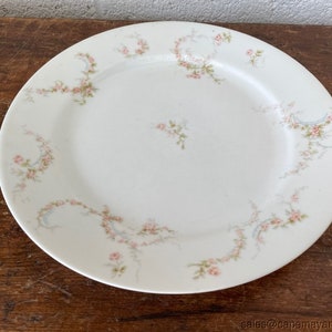 Prato Haviland Limoges França