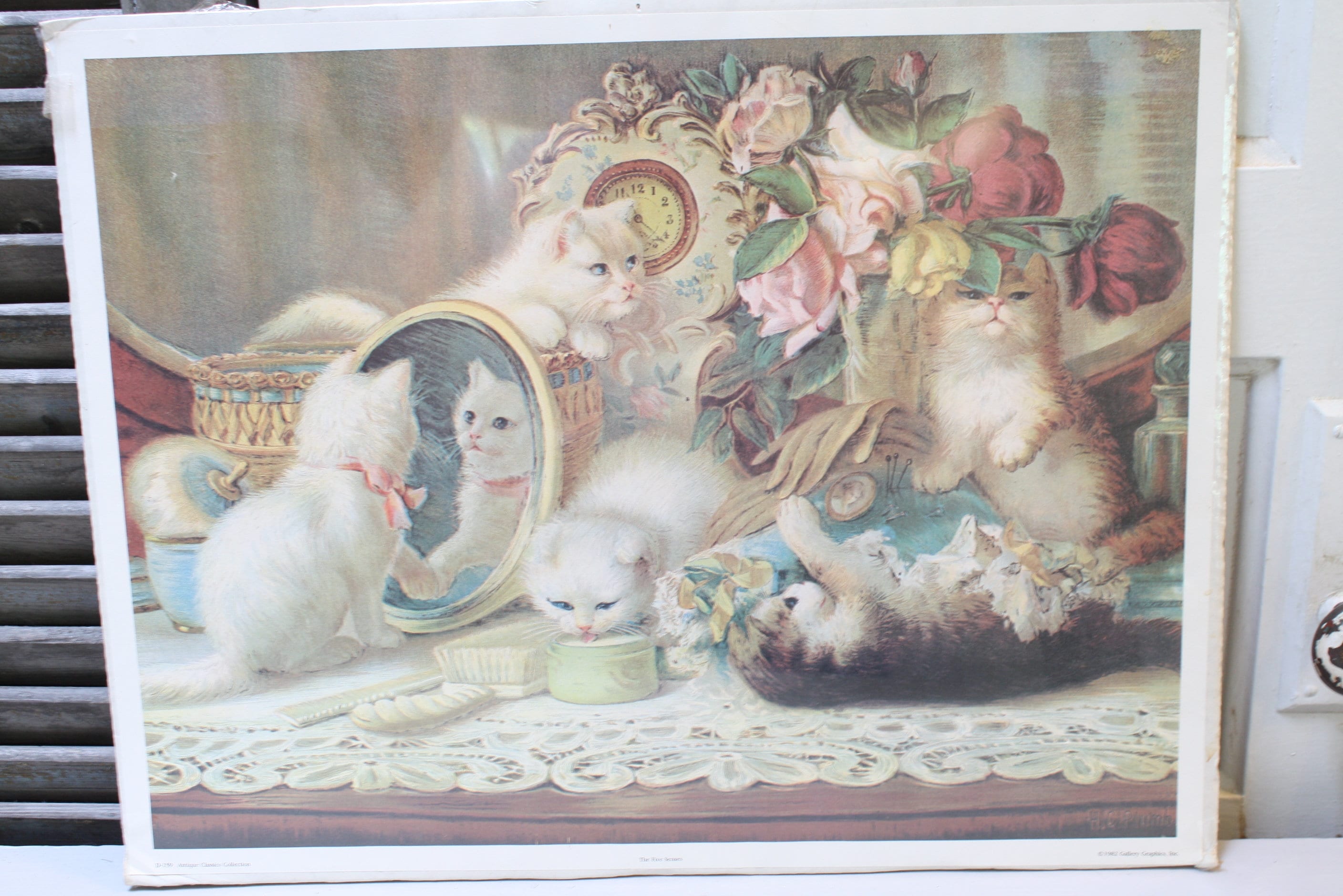 Print 5 Kittens the Five Senses HC Plumb Mirror Roses Playful