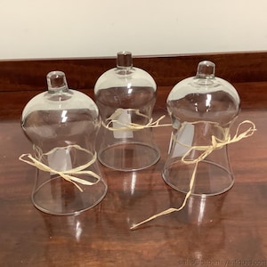 Vintage Small Clear Glass Cloche Specimen Plant Display Dome Round Knob Handle