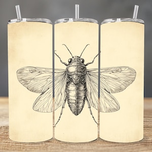 Scientific Cicada Line Art PNG, Vintage Insect Illustration for Sublimation, Entomology Sketch Digital Download for Crafts & Tumblers