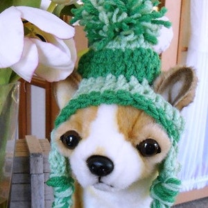 Betty Beagle's introduces a New friend Gigi the Chihuahua in her Adorable Crochet Dog Hats Hand made by Kams-store.com image 1
