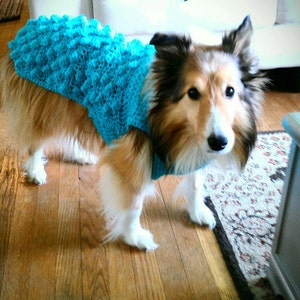 Dog Sweater Pretty Torqua blue color  Hand Crochet by kams-store.com