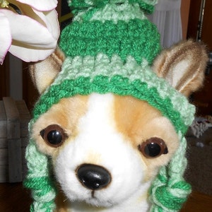 Betty Beagle's introduces a New friend Gigi the Chihuahua in her Adorable Crochet Dog Hats Hand made by Kams-store.com image 3