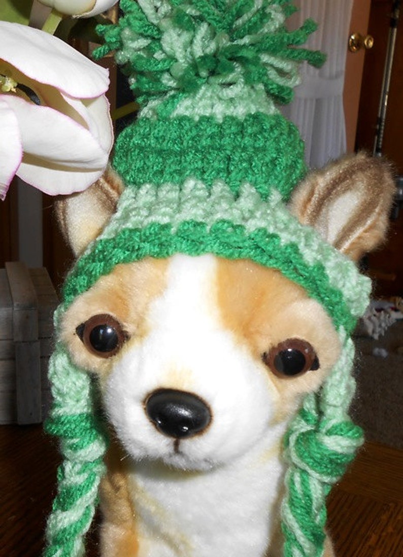 Betty Beagle's introduces a New friend Gigi the Chihuahua in her Adorable Crochet Dog Hats Hand made by Kams-store.com image 3