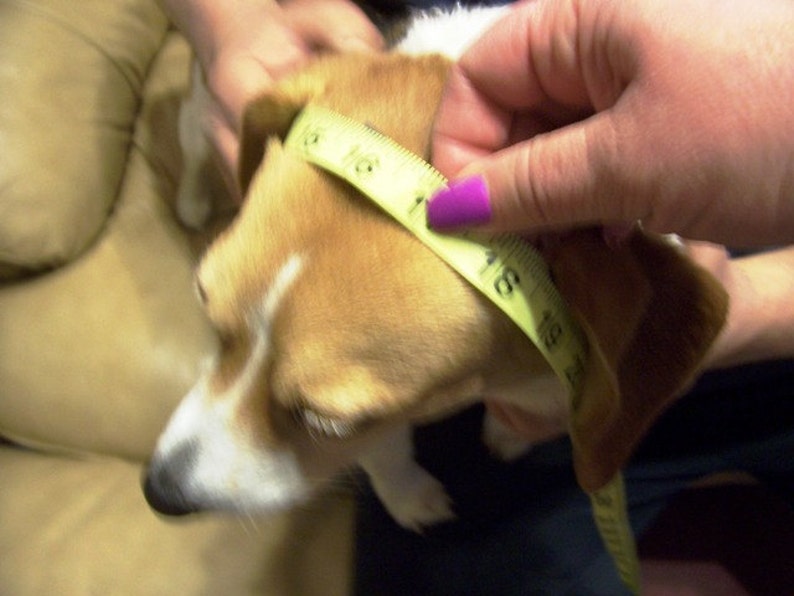 Crochet Dog Hats With Matching Owners Hat. Hand Made by Etsy