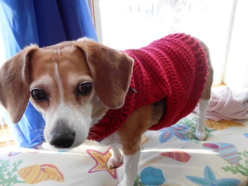 Bailey's Beagle Dog Sweater by Etsy