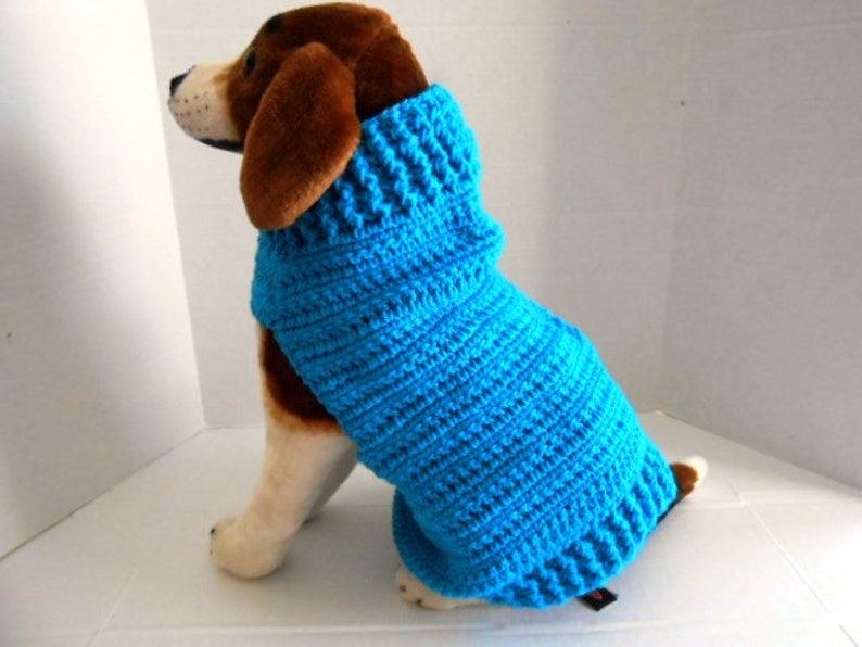 beagle sweater for dog