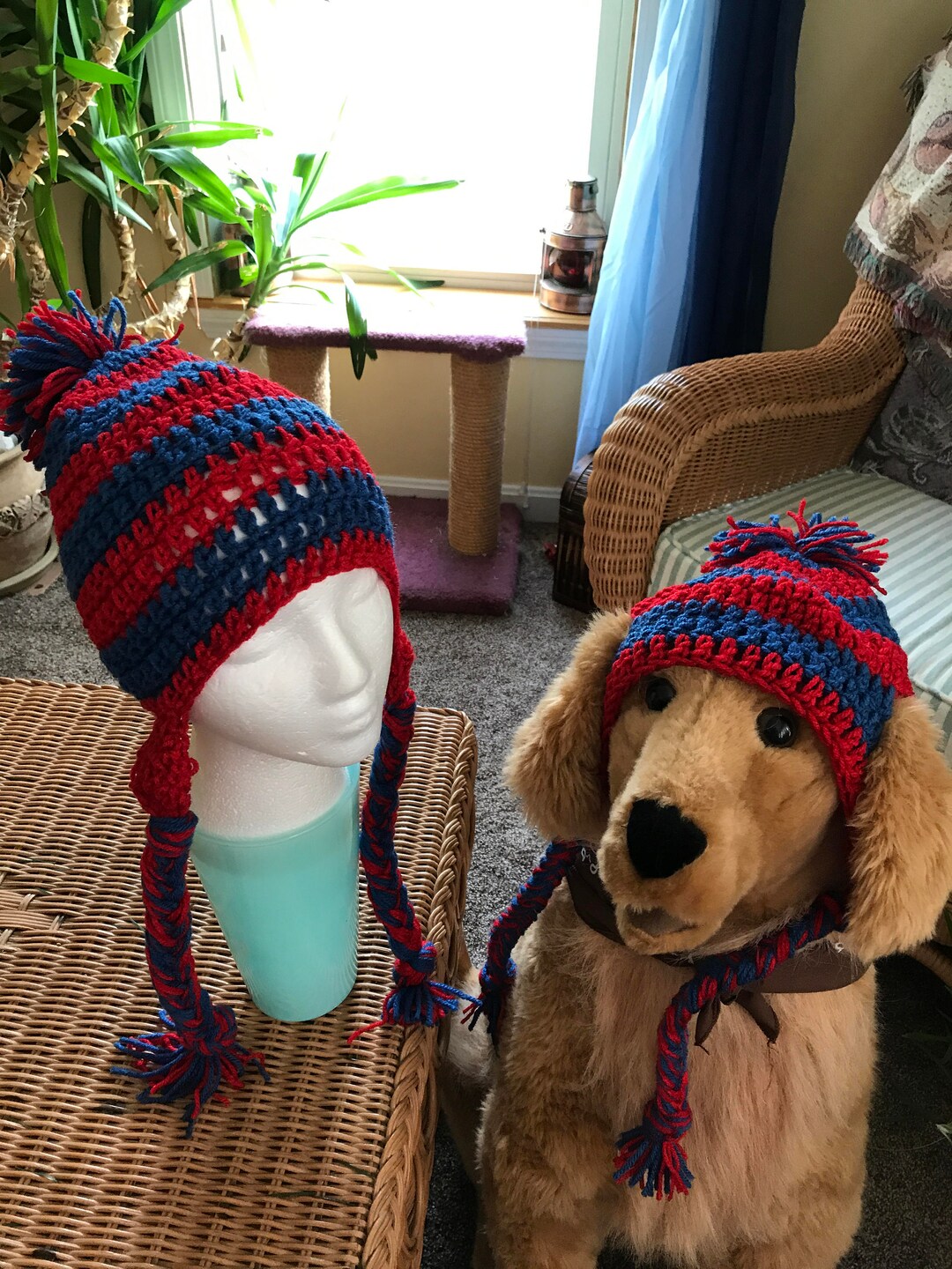Royal Blue and Red Crochet Dog Hats With Matching Owners Hat. Etsy