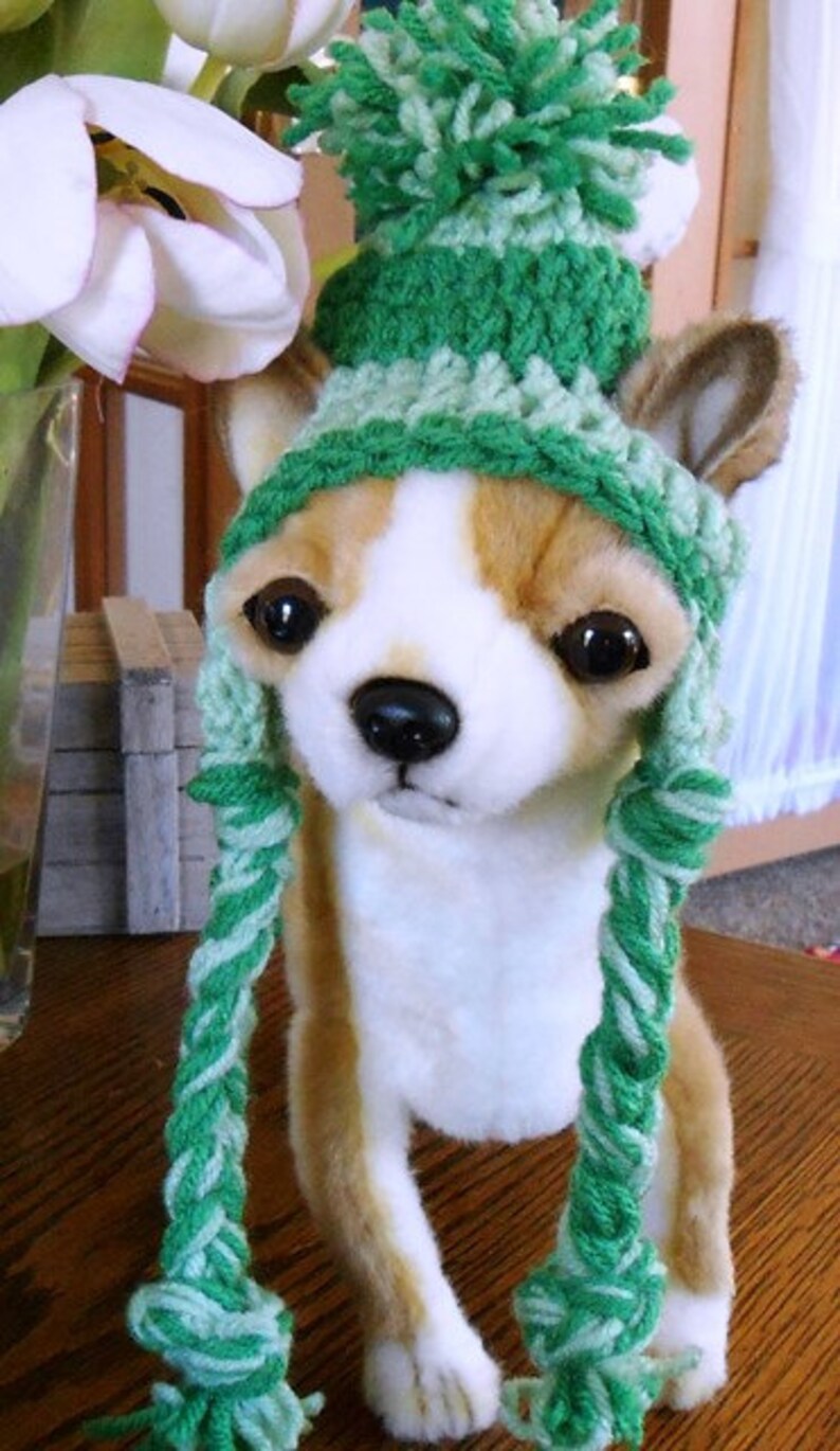 Betty Beagle's introduces a New friend Gigi the Chihuahua in her Adorable Crochet Dog Hats Hand made by Kams-store.com image 1