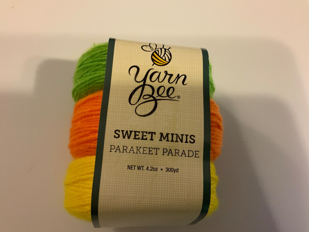 1 Yarn Bee Yarn Sweet Minis Color Parakeet Parade Etsy