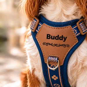 May include: A navy blue dog harness featuring a tan leather-like chest plate with the name Buddy printed in black text above a decorative flourish. The harness includes matching navy blue straps with a repeating tan floral pattern and a metal D-ring.
