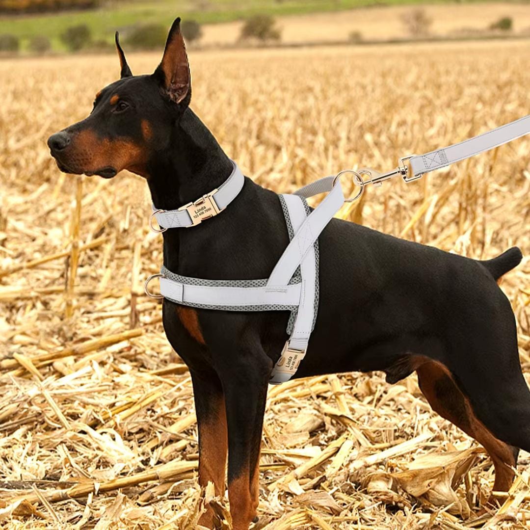 Burberry dog harness - Etsy 日本