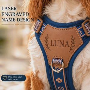 Könnte beinhalten: Ein blaues Haustiergeschirr mit einem hellbraunen, lederartigen Aufnäher, auf dem der Name LUNA laser-graviert und von Blattmotiven umrahmt ist. Das Geschirr hat einen Metall-D-Ring, hellbraune Ränder und ein Blumenmuster. Text: LASER ENGRAVED NAME DESIGN.