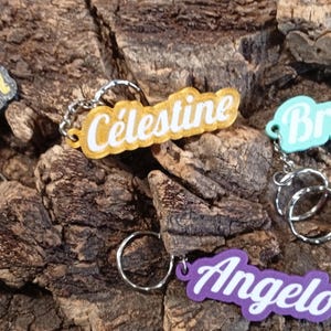 May include: Keyrings with the names Marian, Célestine, Brendan, Corrie, and Angelo in different colours. Each keyring has a silver ring attached. The keyrings are displayed on a textured, brown surface.